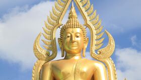 image-36